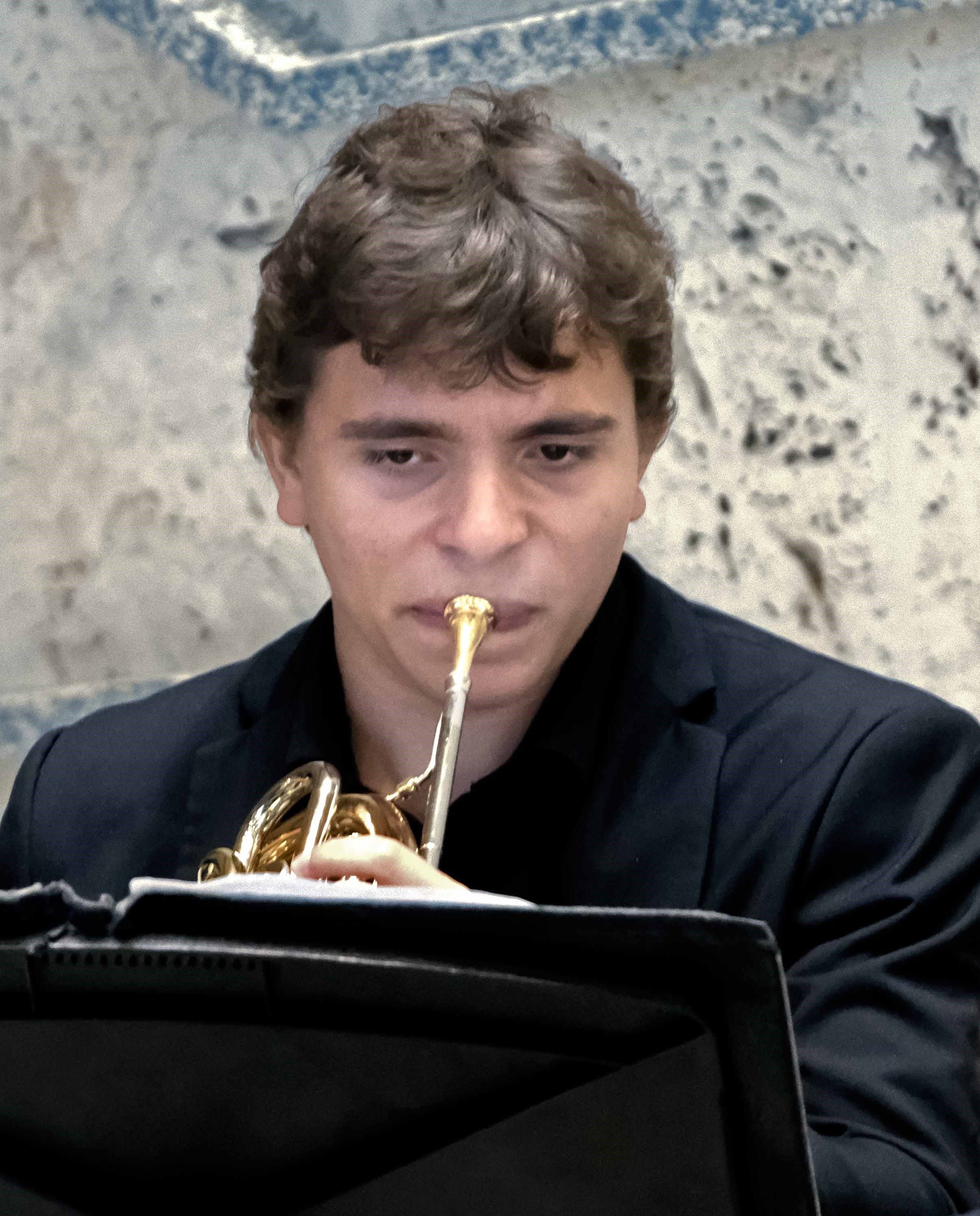 french horn