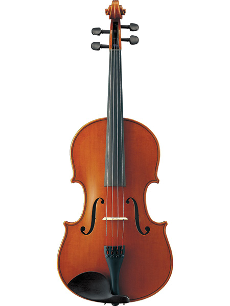 Viola